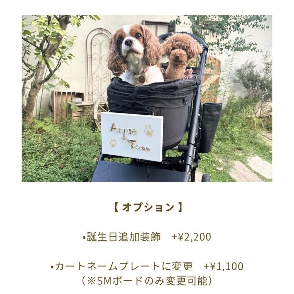 画像1: オプション＋2200円